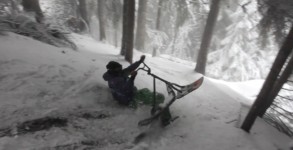 snowscoottanddtease
