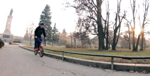 Slav vid